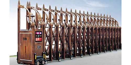 東方神龍網(wǎng)花一號